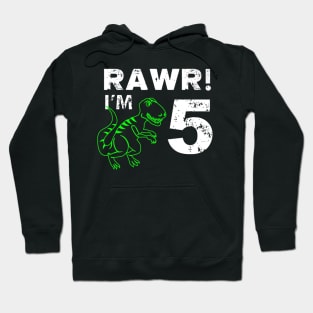 5th Birthday Rawr Im 5 Year Old Dinosaur Hoodie